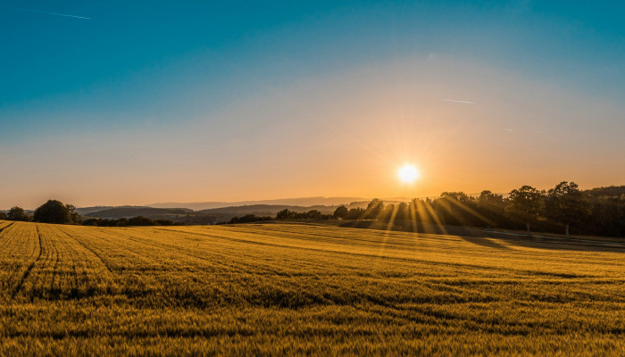 Farm Sunrise Wallpaper
