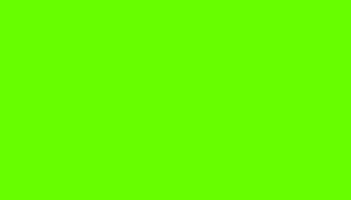 Green Solid Wallpaper