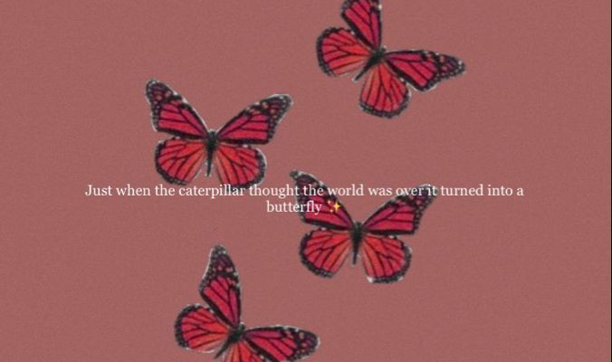 Aesthetic Red Butterfly Wallpaper