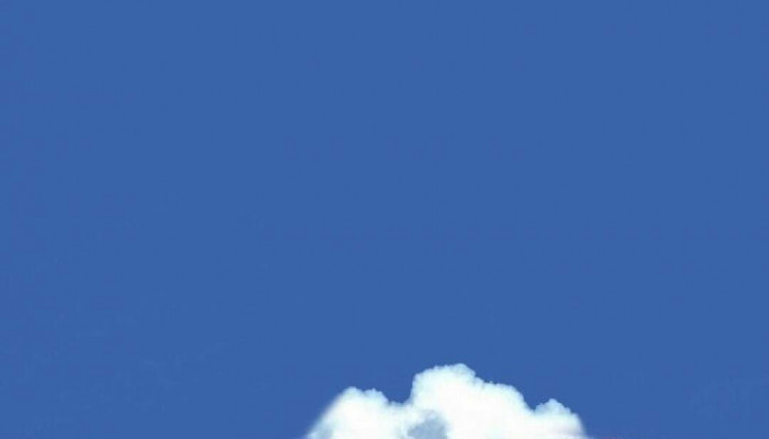 Princess Mononoke iPhone Wallpaper