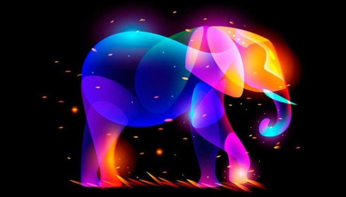 Neon Elephant Wallpaper