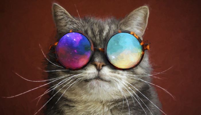 Cat with Glasses Wallpaper