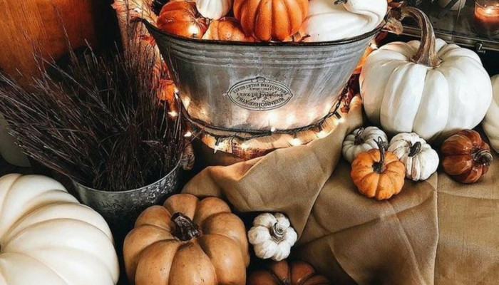 Aesthetic Pumpkin Wallpaper