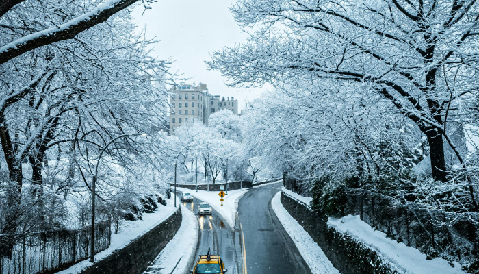 Snow Road Wallpaper