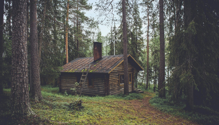 Forest Cabin Wallpaper