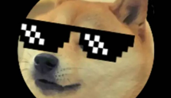 Dog Meme Wallpaper