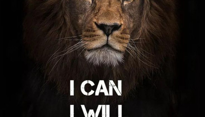Lion Motivation Wallpaper