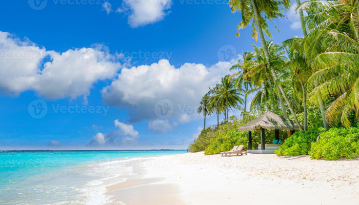 Summer Beach Landscape Wallpaper