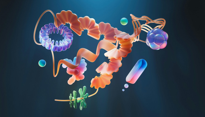 Protein Structure Wallpaper