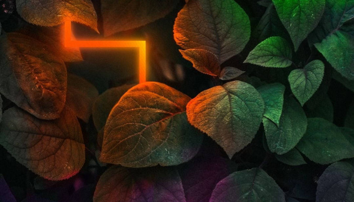Neon Plant Wallpaper