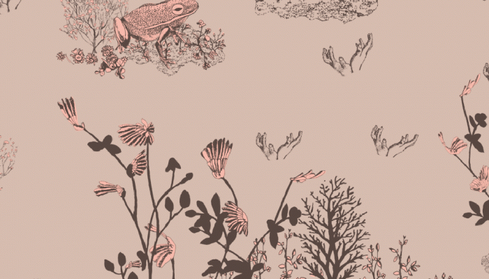 Brown and Pink Wallpaper