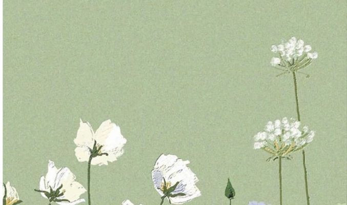 Soft Green Wallpaper