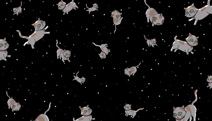Science Cat Wallpaper