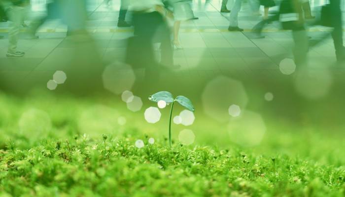 Eco Wallpaper