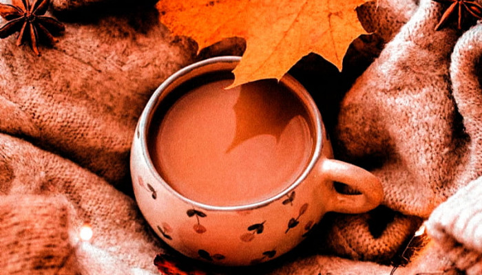 Autumn Vibes Wallpaper