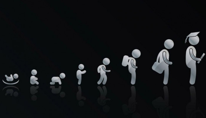 Life Cycle Wallpaper