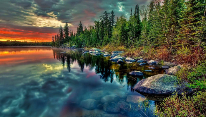 Live Nature Wallpaper