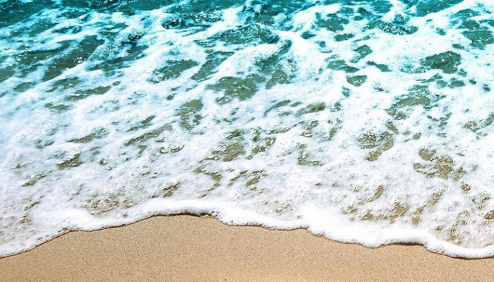 Summer Love Wallpaper