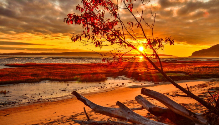 Autumn Ocean Wallpaper