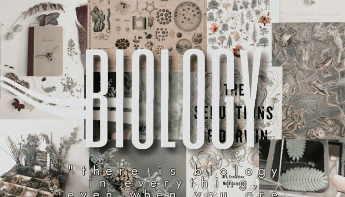 Science Biology Wallpaper