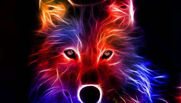 Neon Fox Wallpaper