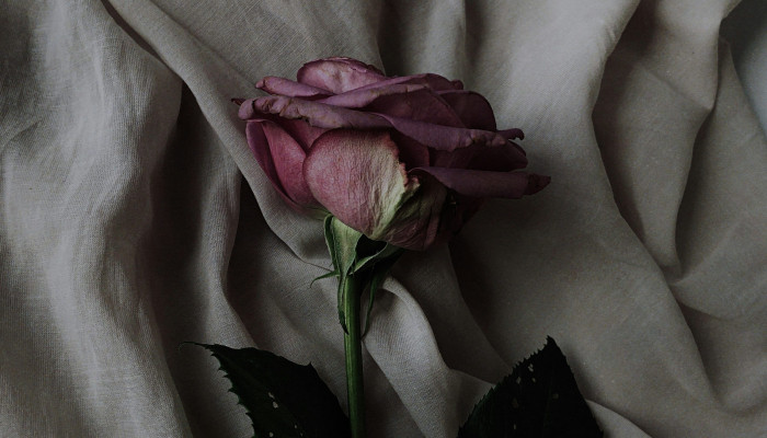 Sad Flowers Wallpaper