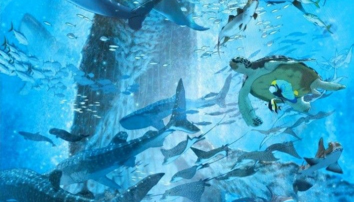 Anime Sea Wallpaper