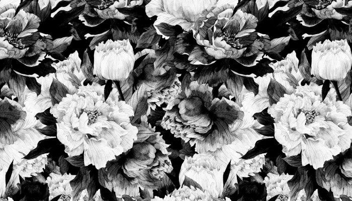 Black White and Grey Wallpaper