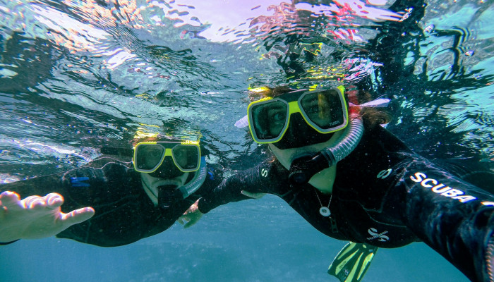 Snorkel Wallpaper