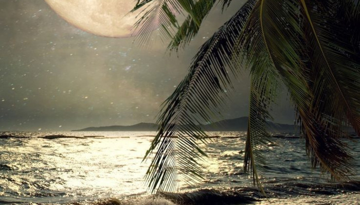 Night Beach Moon Wallpaper