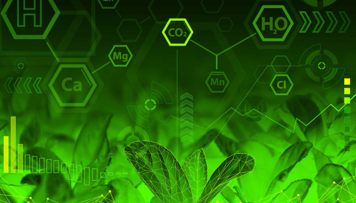 Green Chemistry Wallpaper