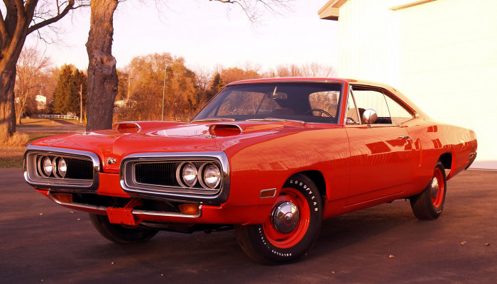 Super Bee Wallpaper