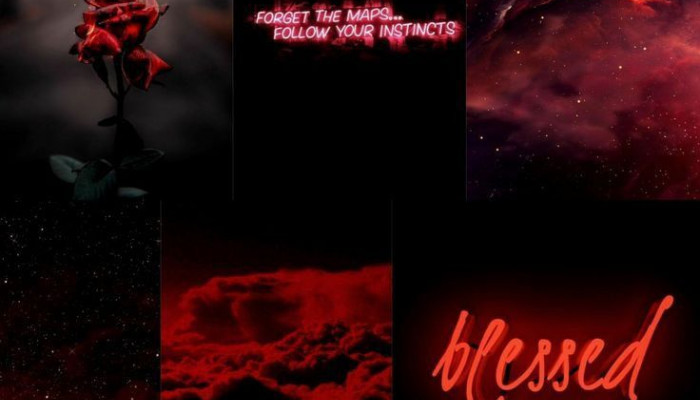Blood Aesthetic Wallpaper