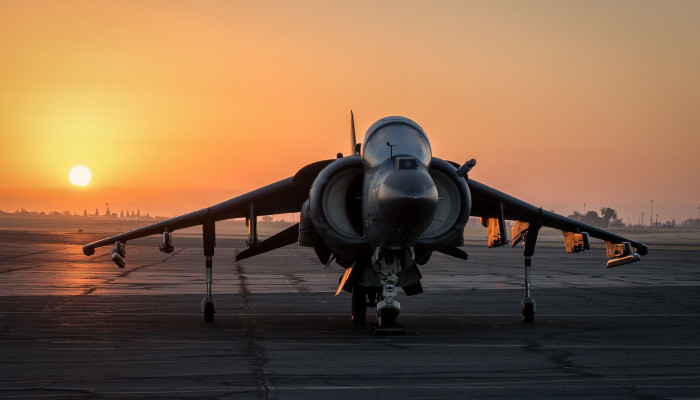 Harrier Wallpaper