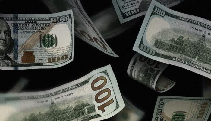 Dollar 8K Wallpaper