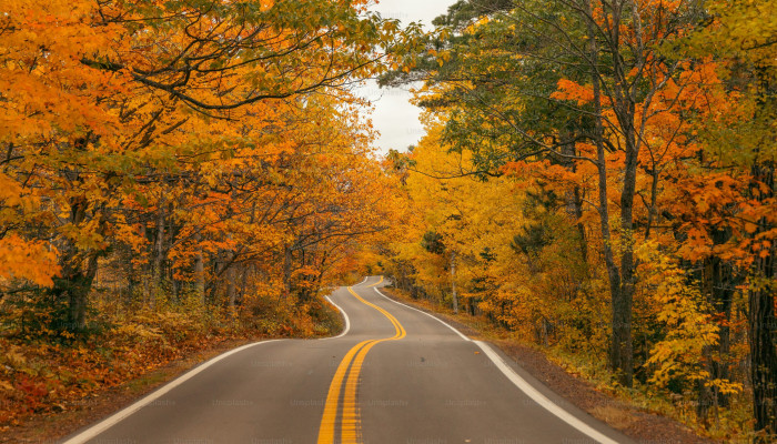 8K Autumn Wallpaper