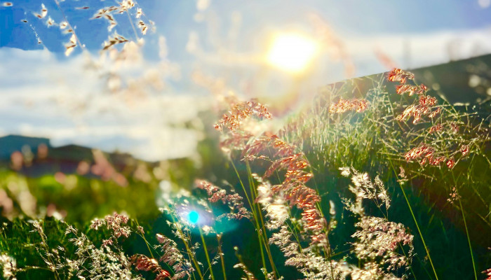 Spring Equinox Wallpaper