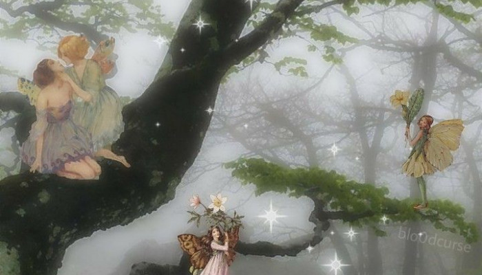 Fairy Aesthetic Wallpaper