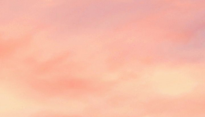 Peach Color Aesthetic Wallpaper