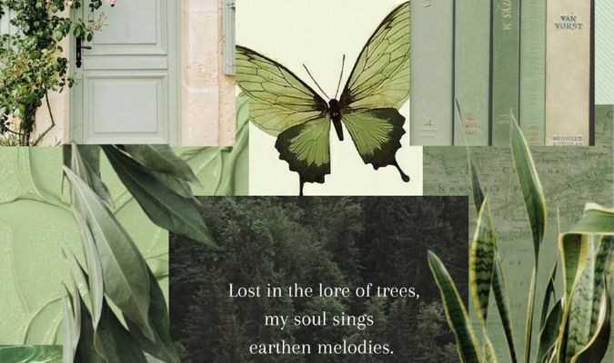 Earthy Aesthetic Wallpaper