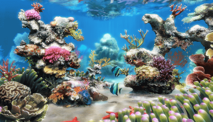 Aquarium 4K Live Wallpaper