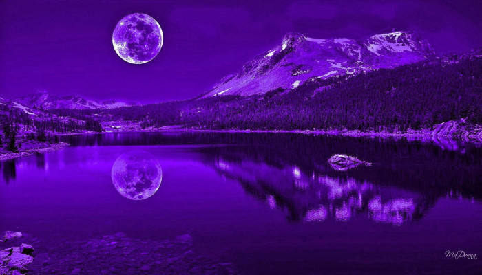 Purple Lake Wallpaper