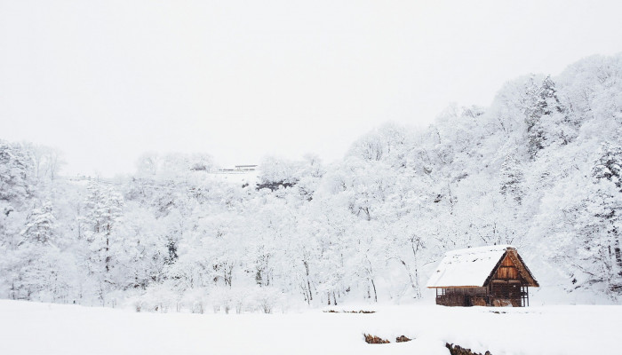 Snowy Japan Wallpaper