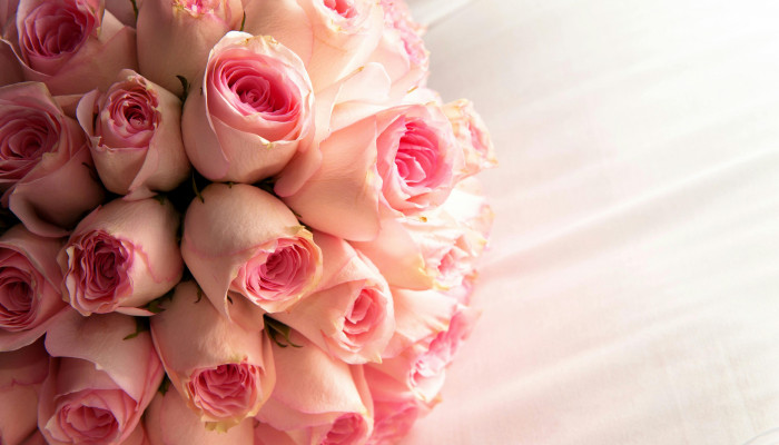 White and Pink Roses Wallpaper