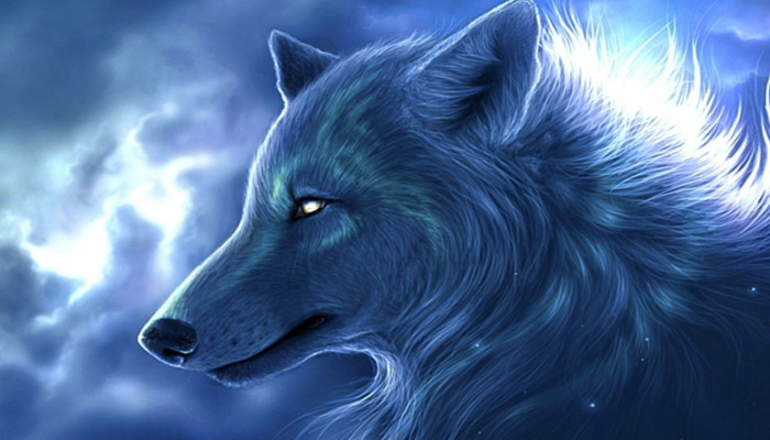 Spirit Animal Wallpaper