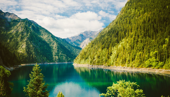 2560X1600 Nature Wallpaper