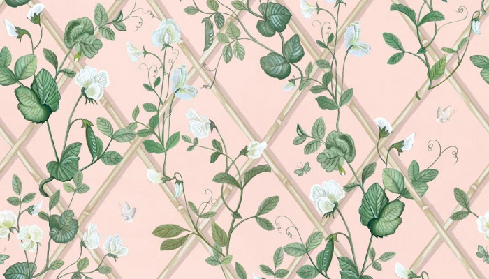 Sweet Pea Wallpaper