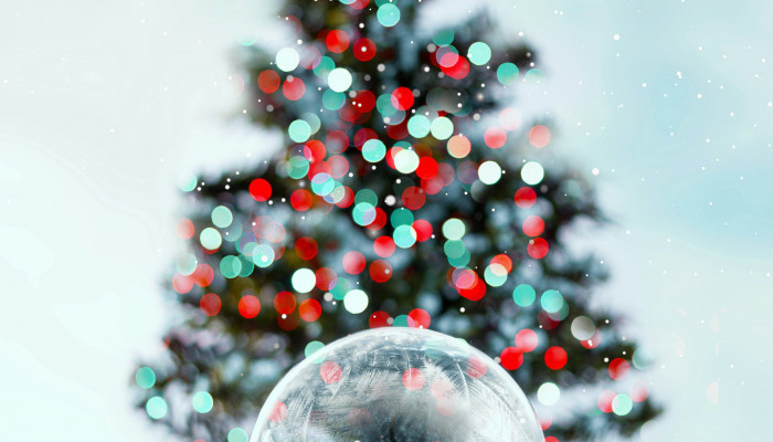 Christmas Snow Globe Wallpaper
