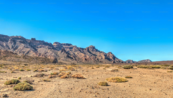 American Desert Wallpaper