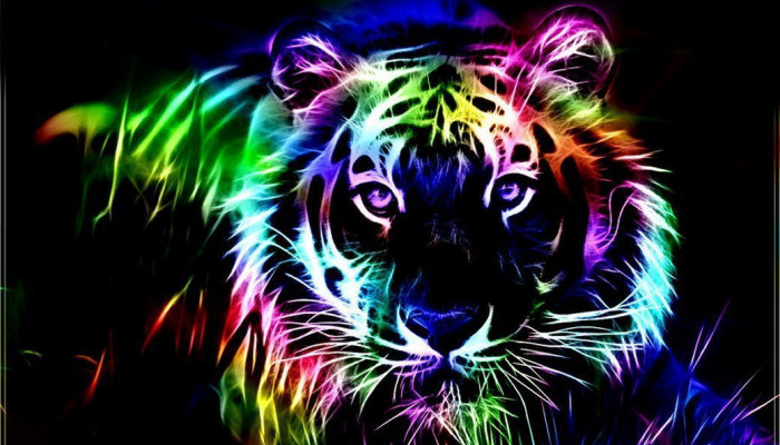 Rainbow Animal Wallpaper